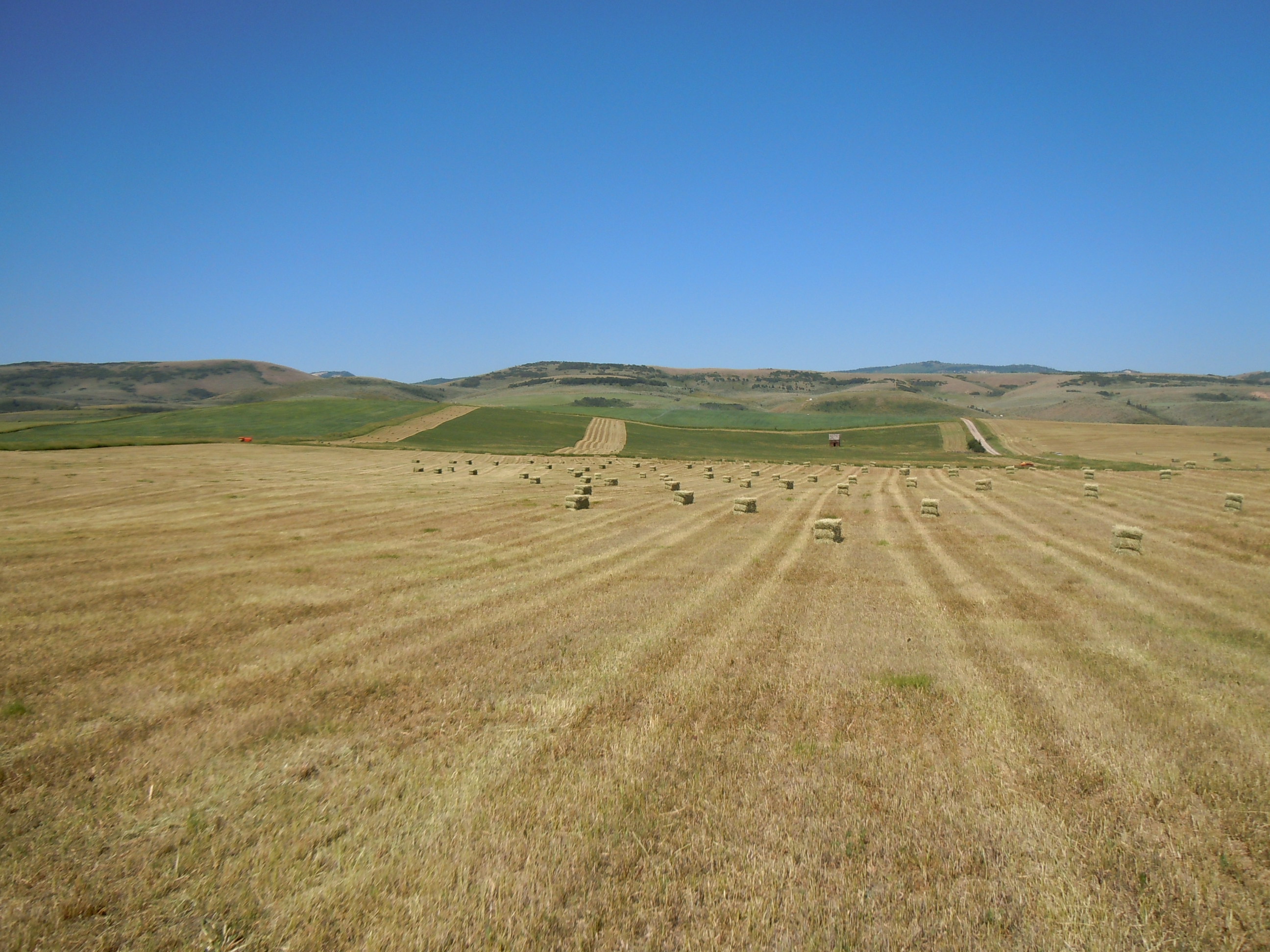 DSCN3106.JPG