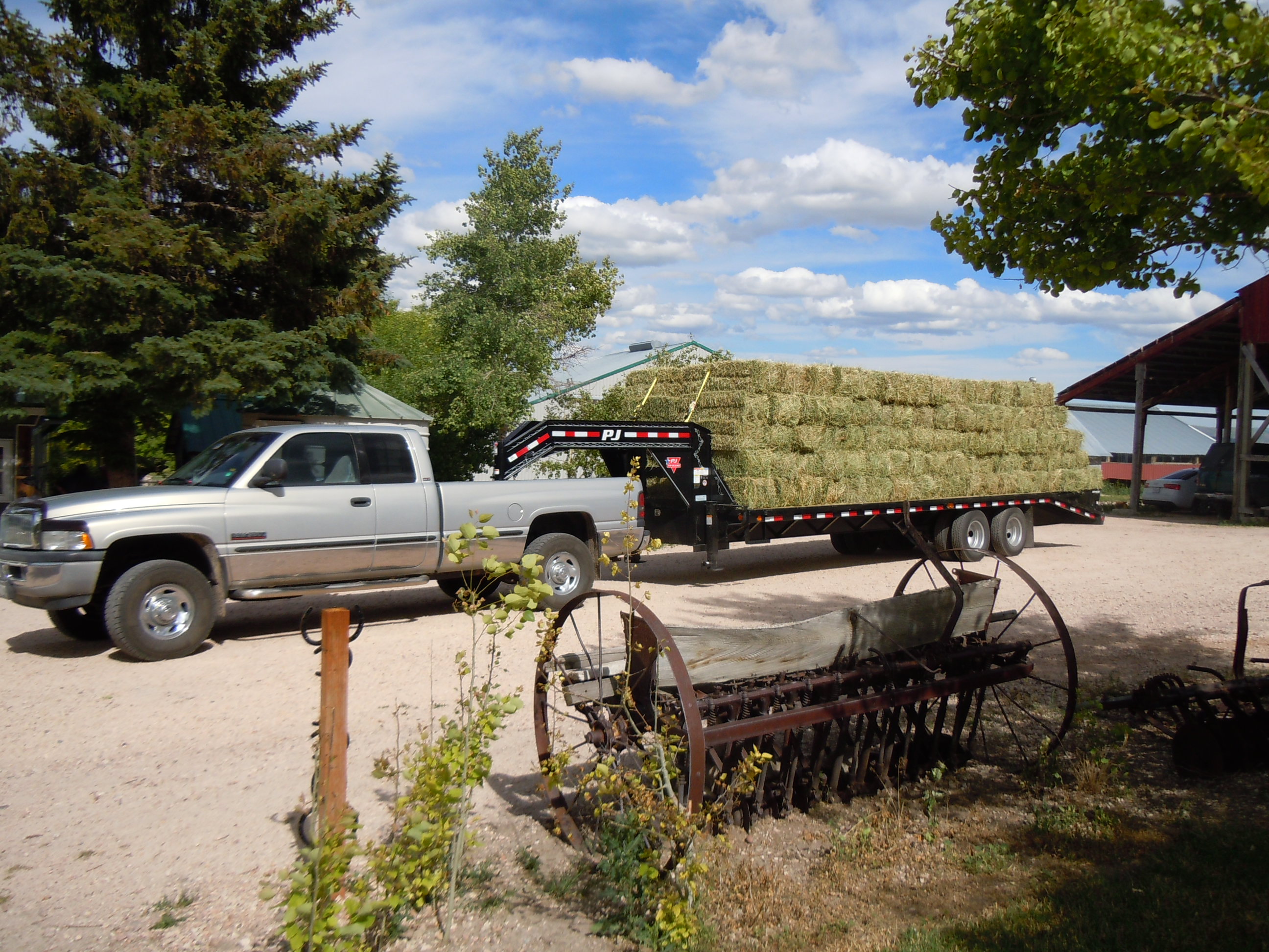 DSCN3108.JPG