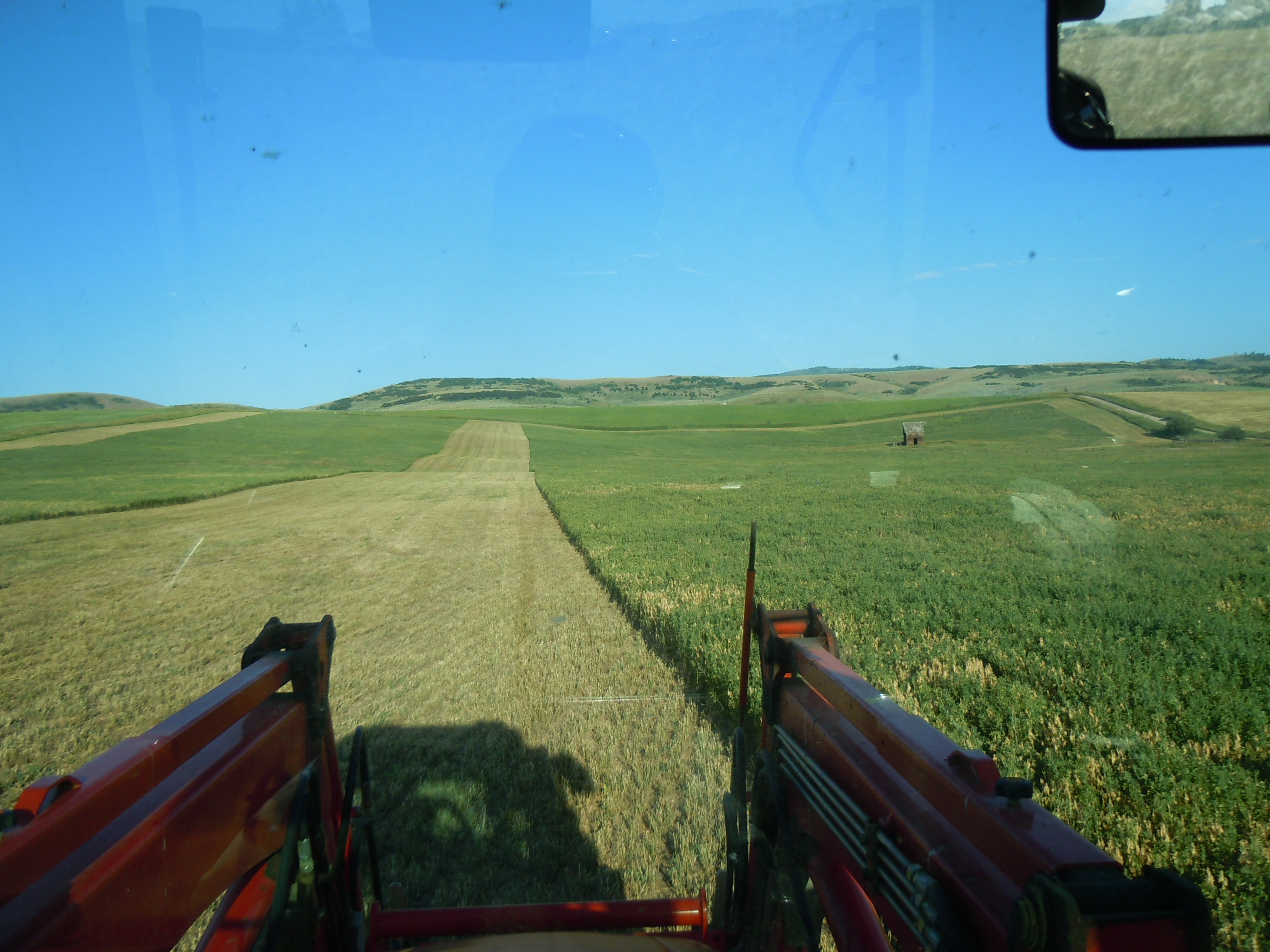 DSCN3122.JPG