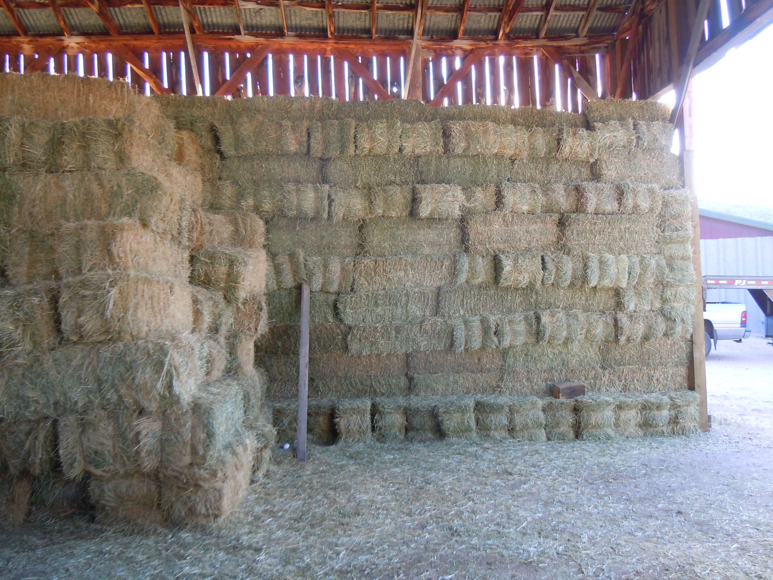DSCN3132.JPG