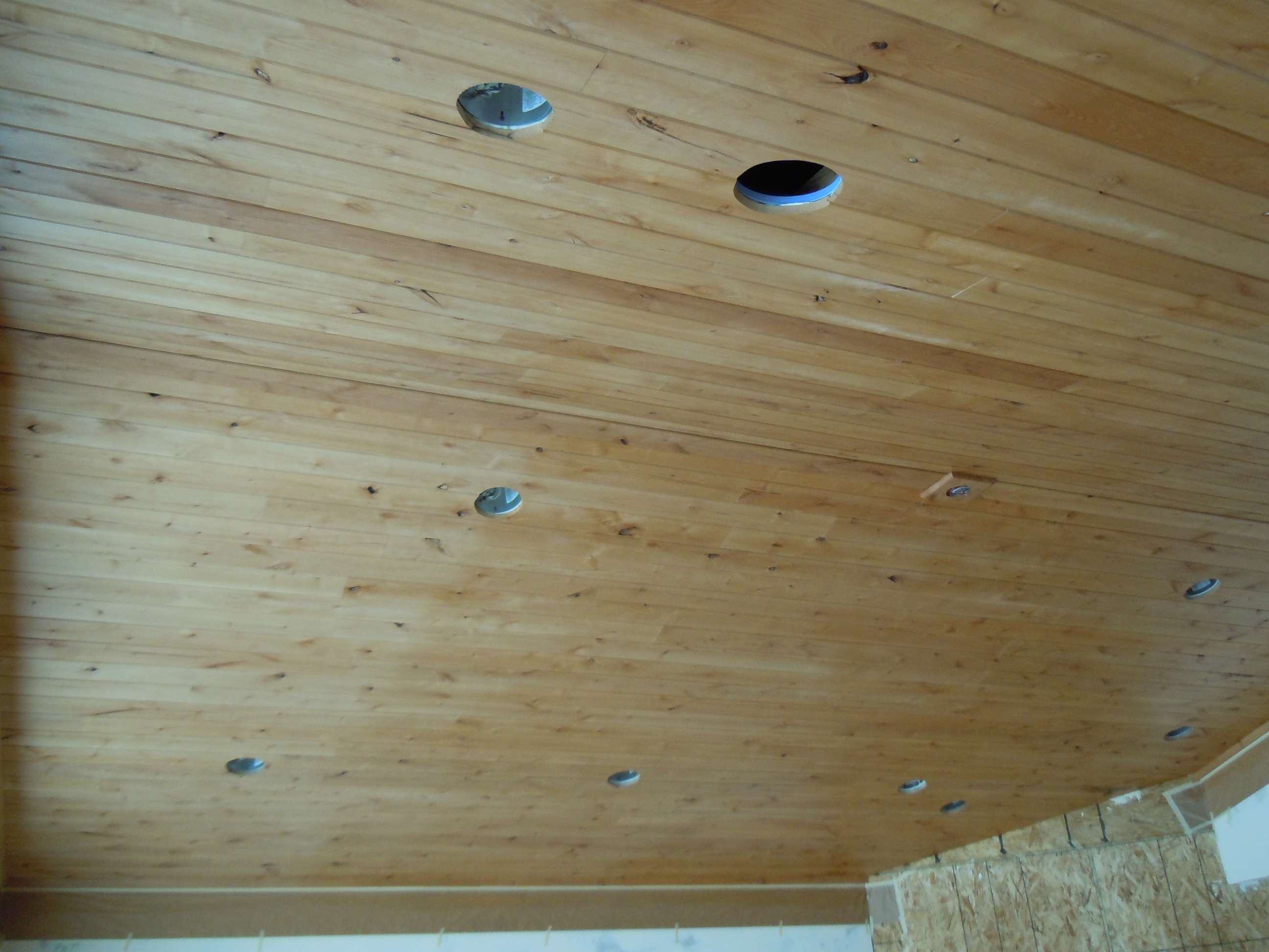 DSCN3368.JPG