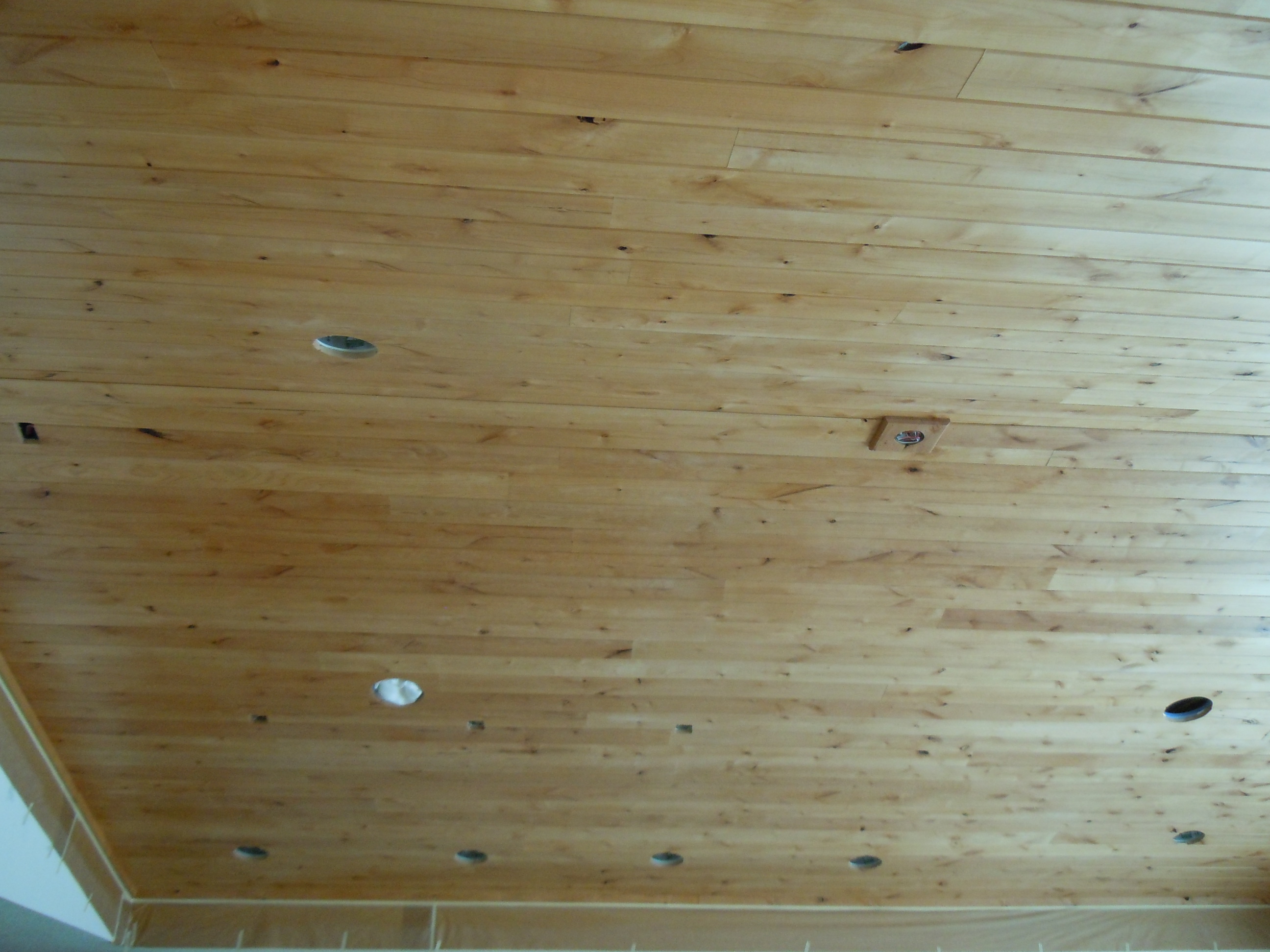 DSCN3370.JPG
