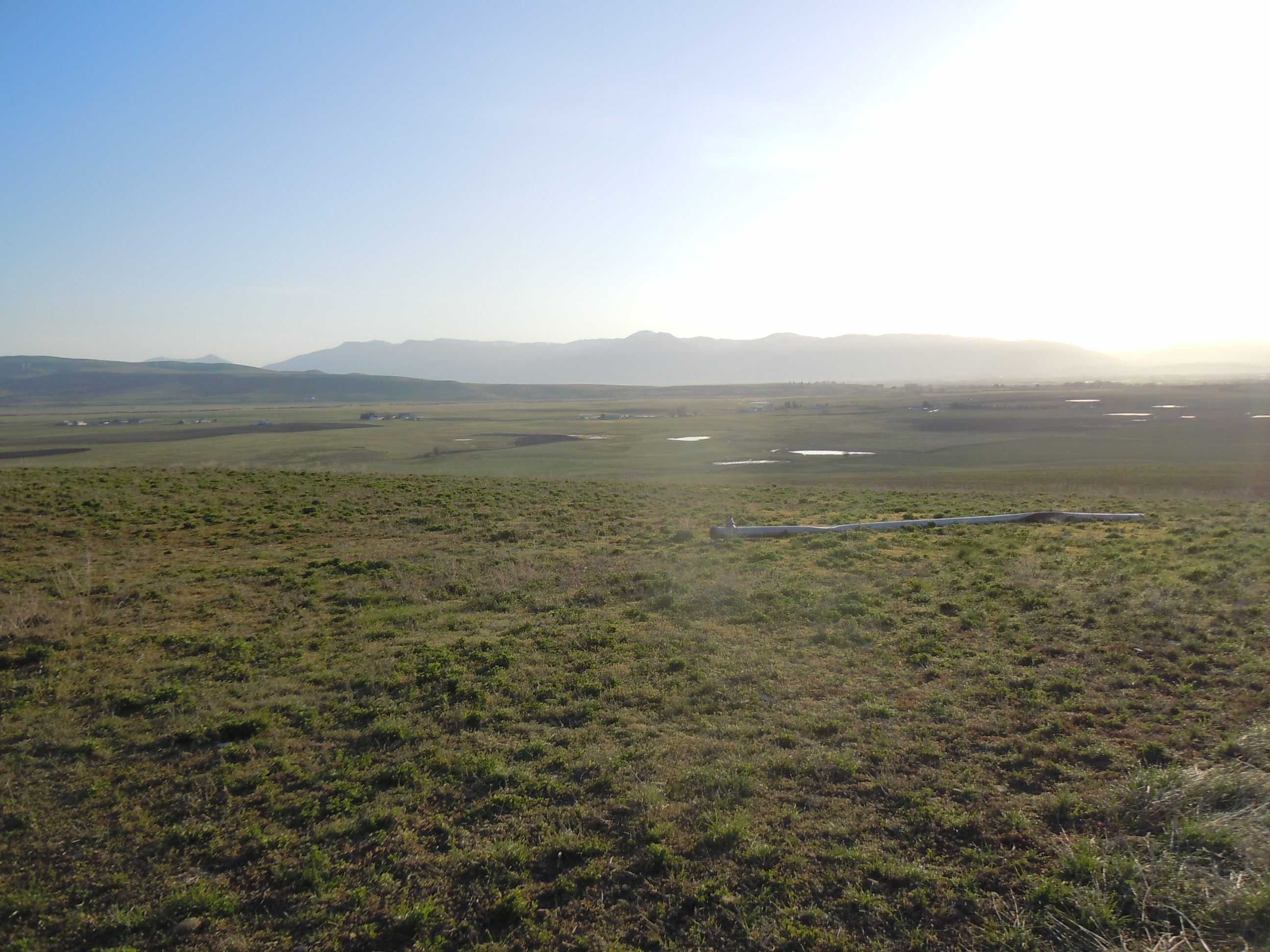 DSCN3538.JPG