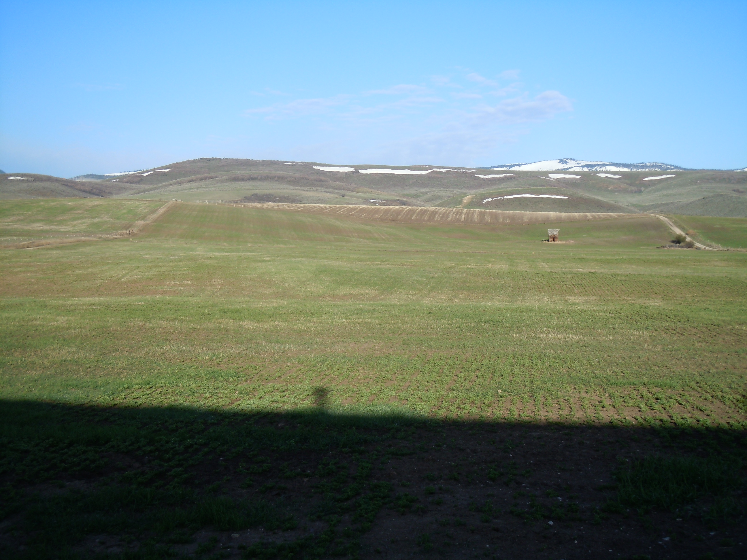 DSCN3543.JPG