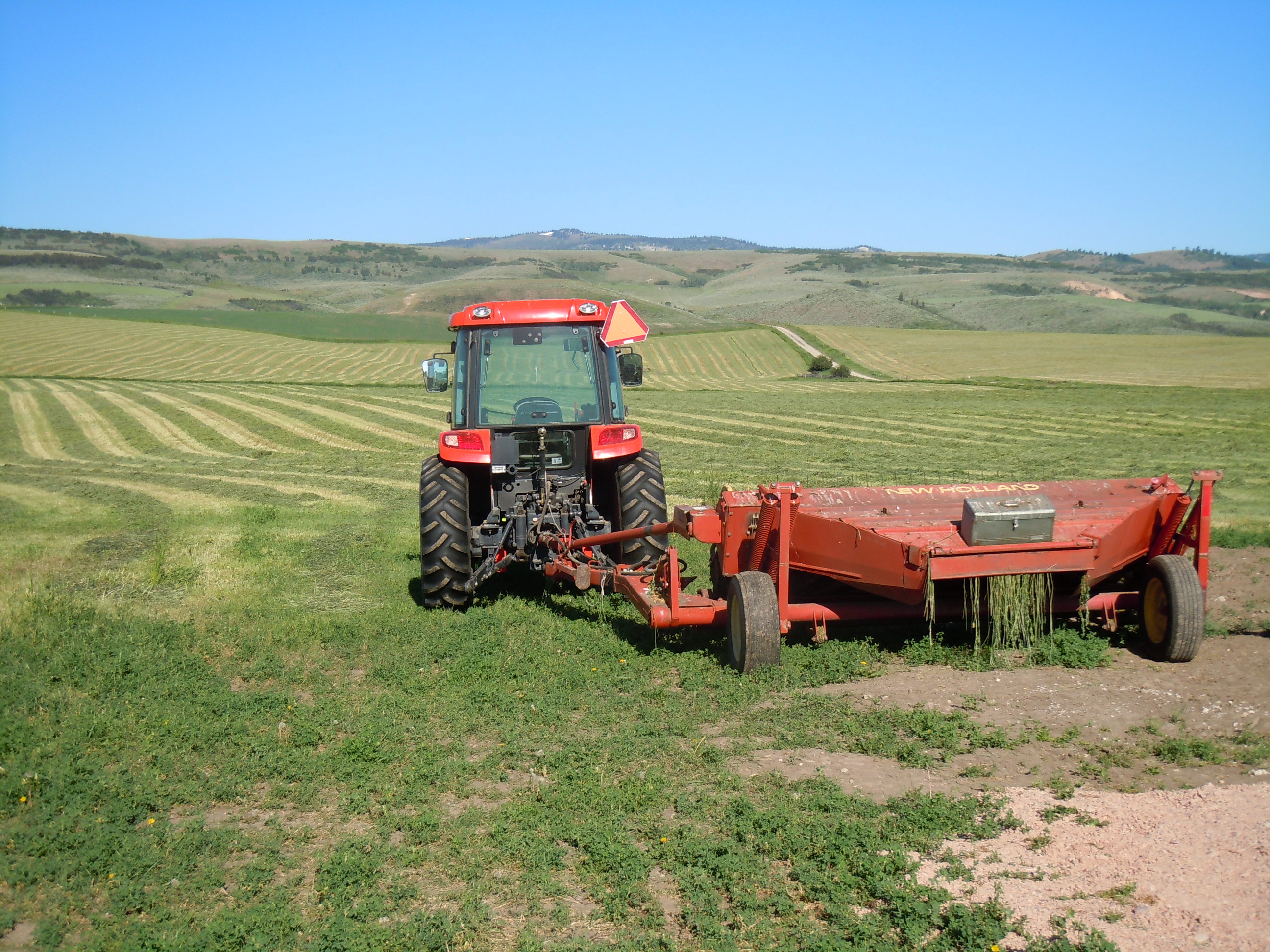DSCN3590.JPG