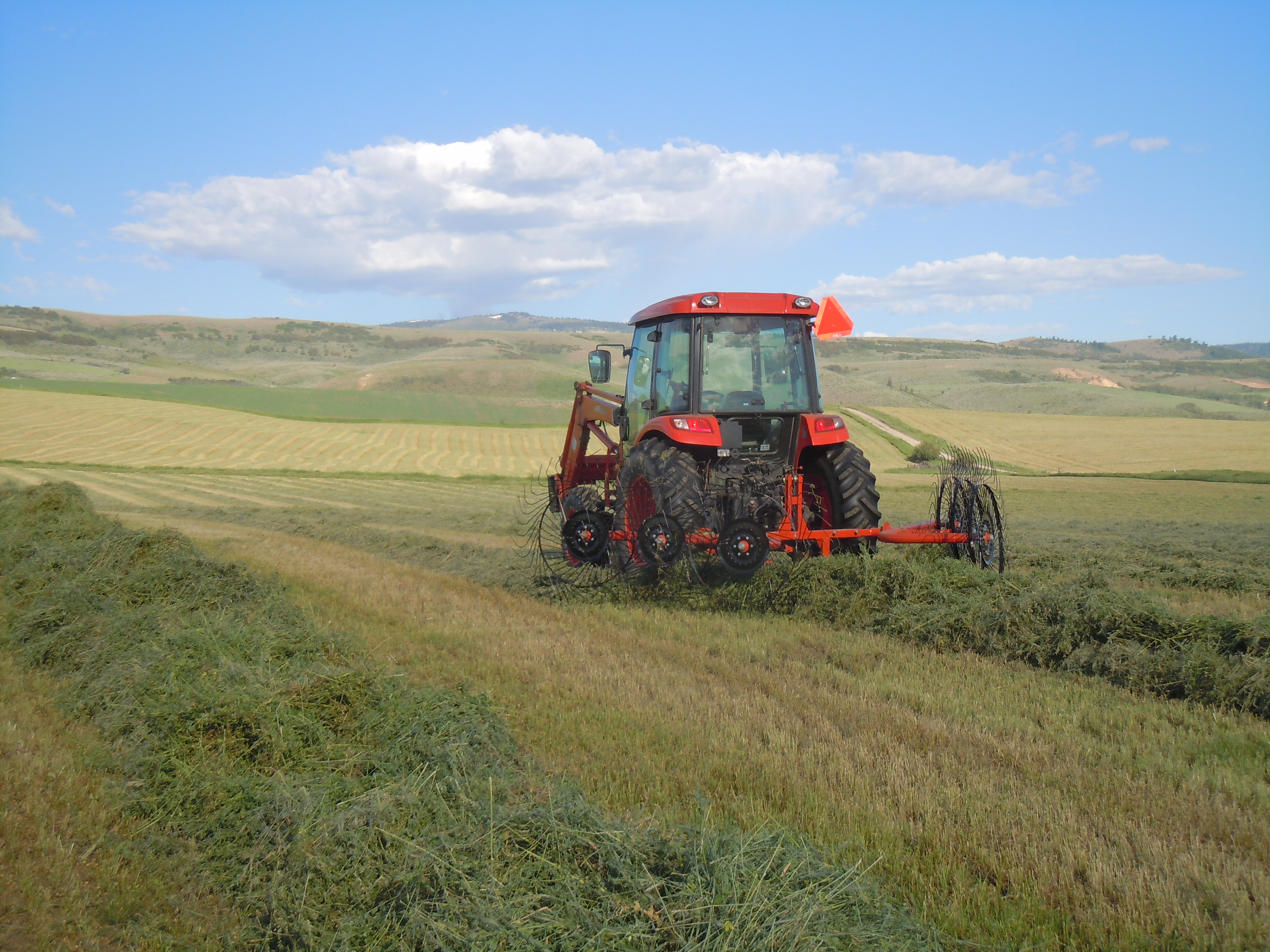DSCN3592.JPG