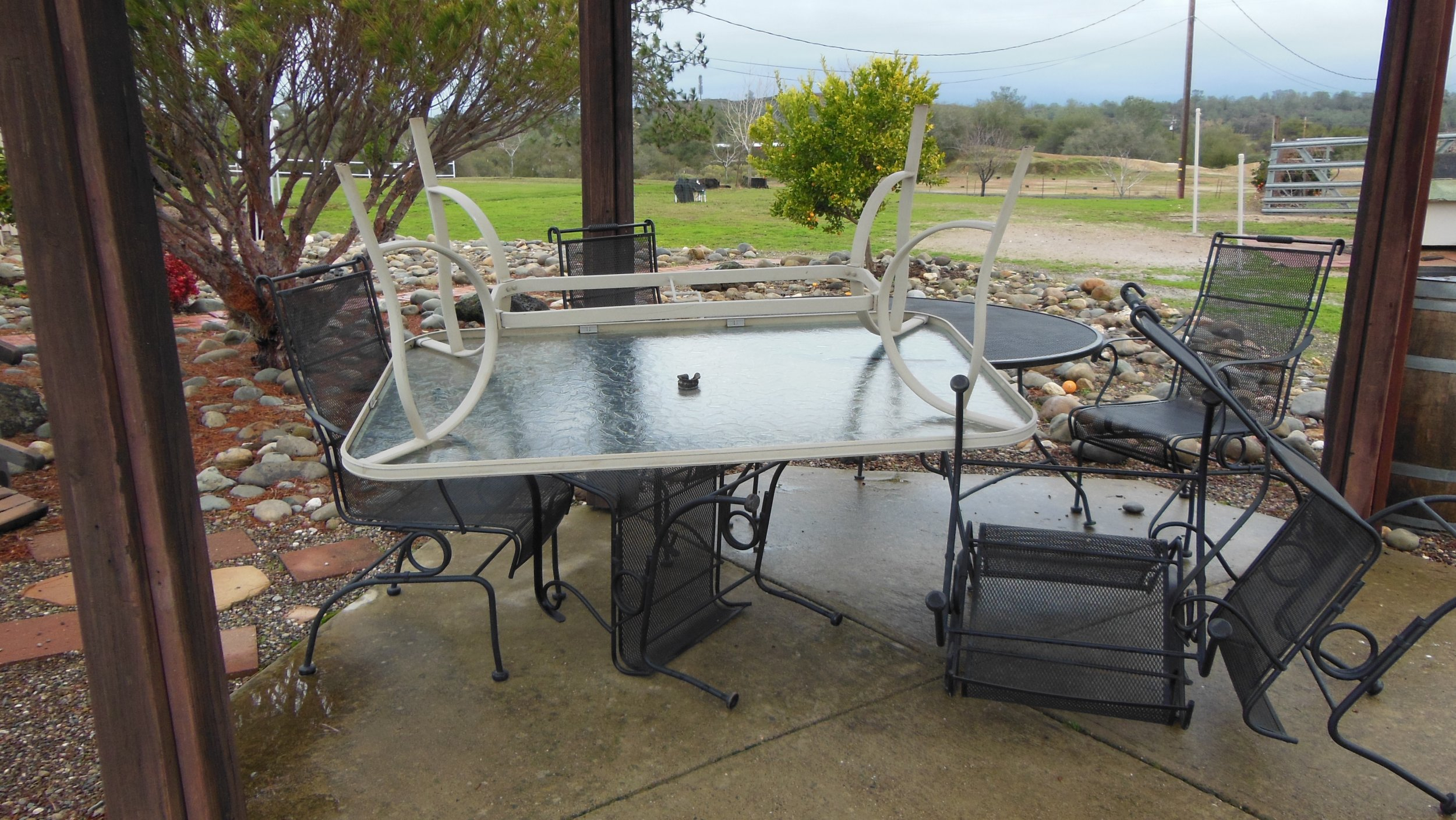 DSCN4593.JPG