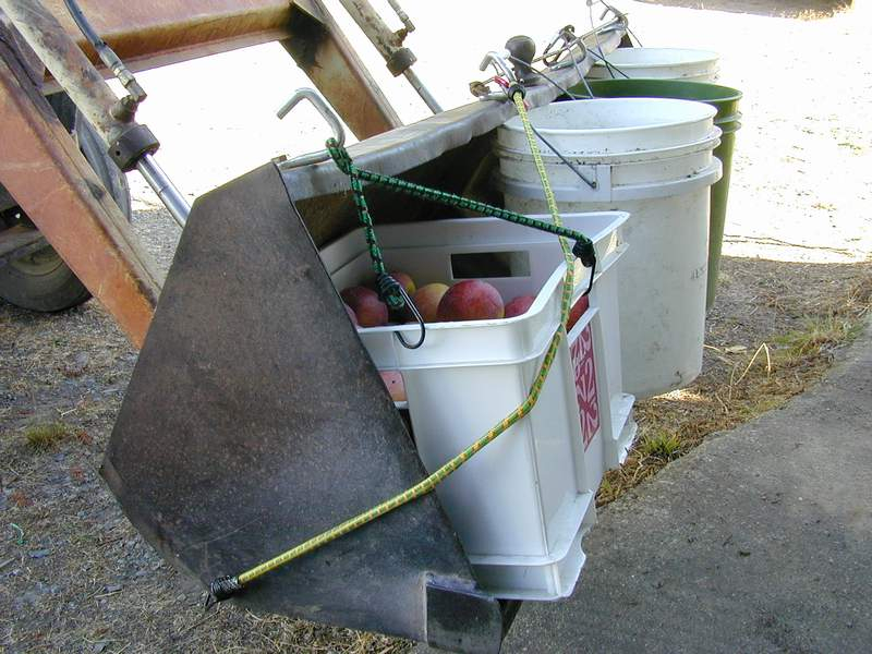 DSCN5022rAppleBucketsInLoader.JPG