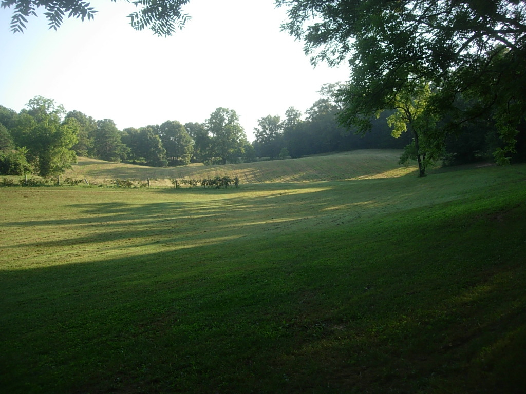 DSCN6237.JPG