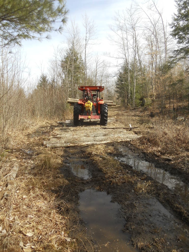 DSCN7877.jpg