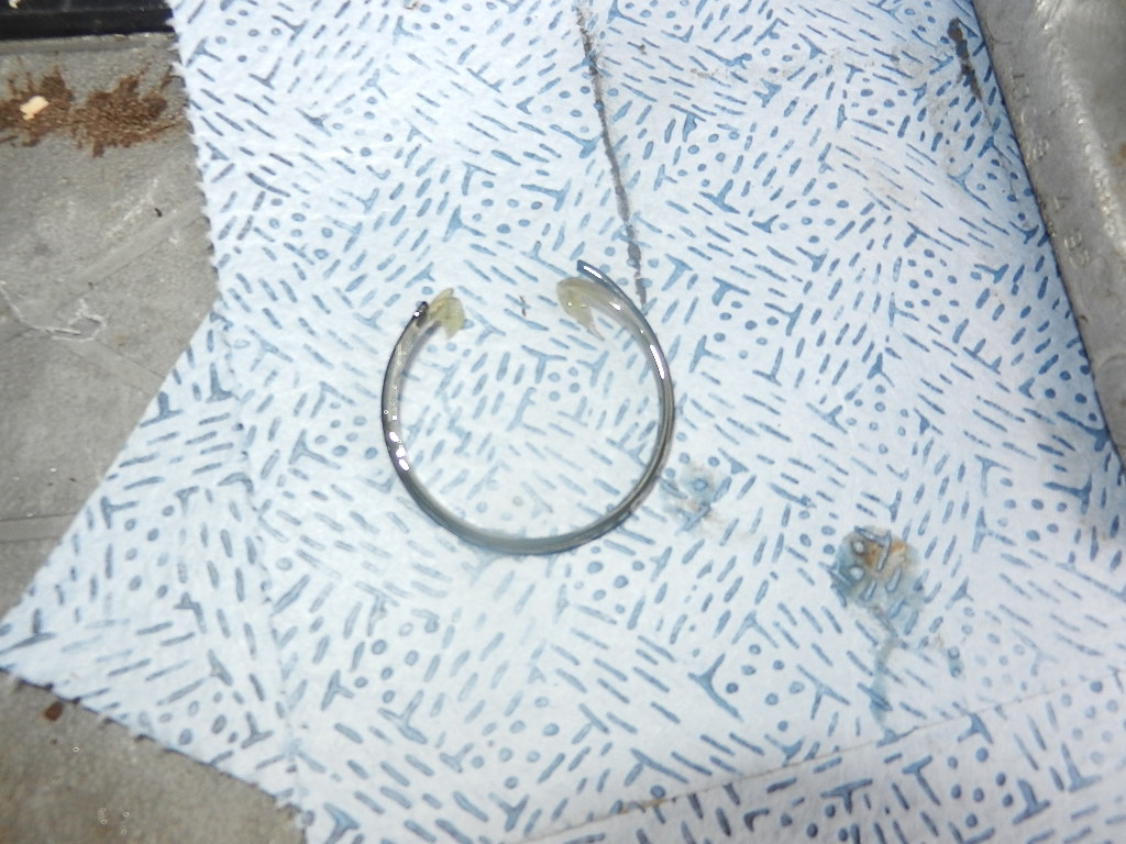 DSCN8387.JPG