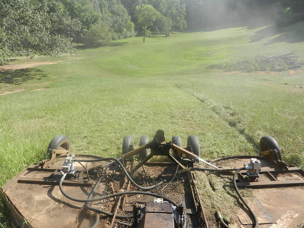 DSCN8396.JPG