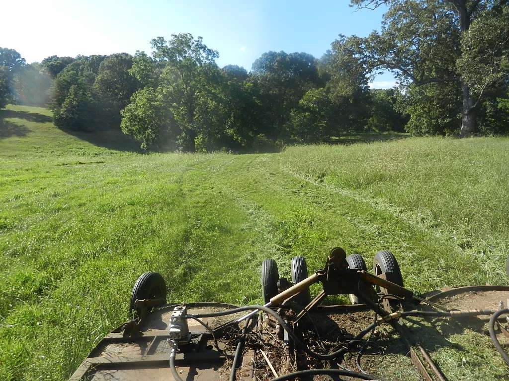 DSCN8397.JPG