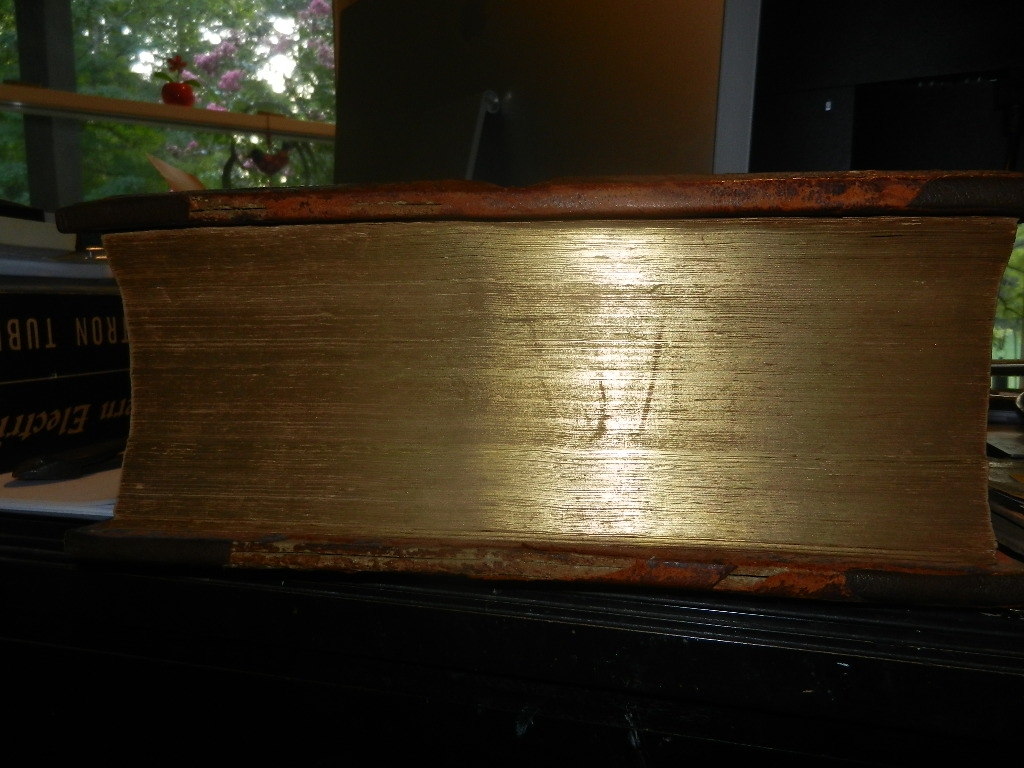 DSCN8414.JPG