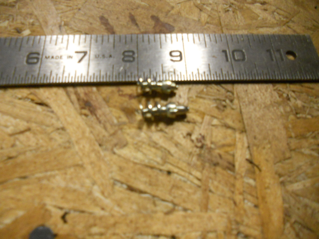 DSCN8453.JPG