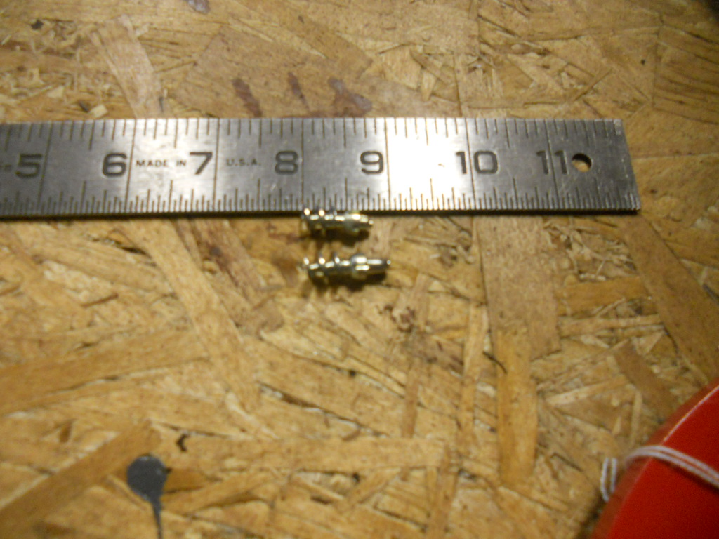 DSCN8454.JPG