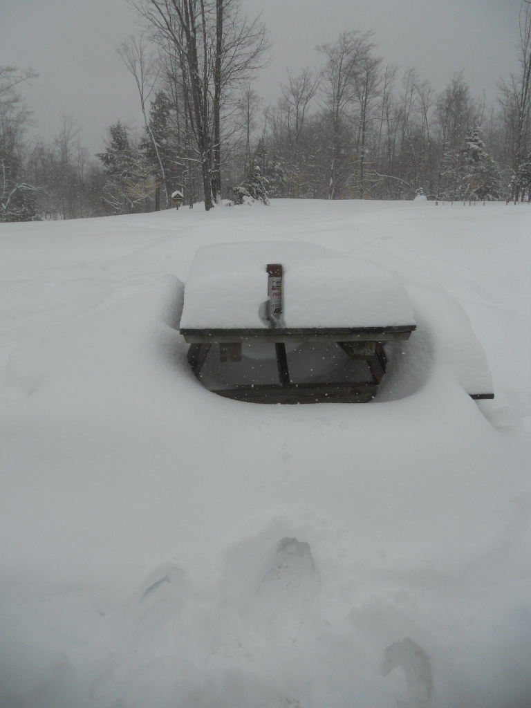 DSCN8667.JPG