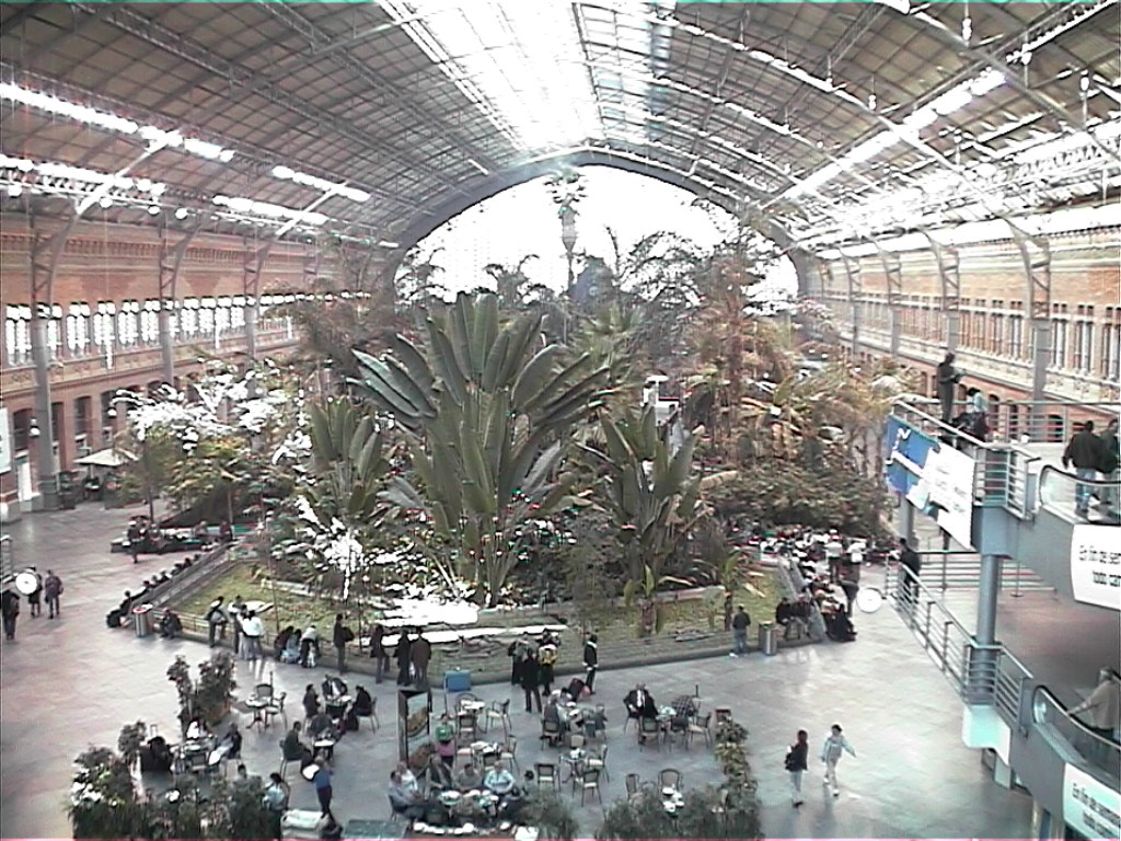DVC00006.JPG