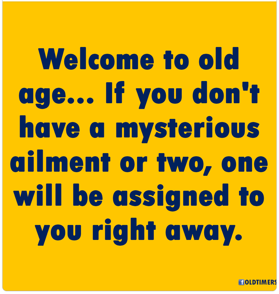 E3C54211-2D62-4A9C-80B0-1BA1E0F13053.png