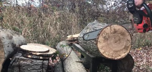 e501cut.jpg