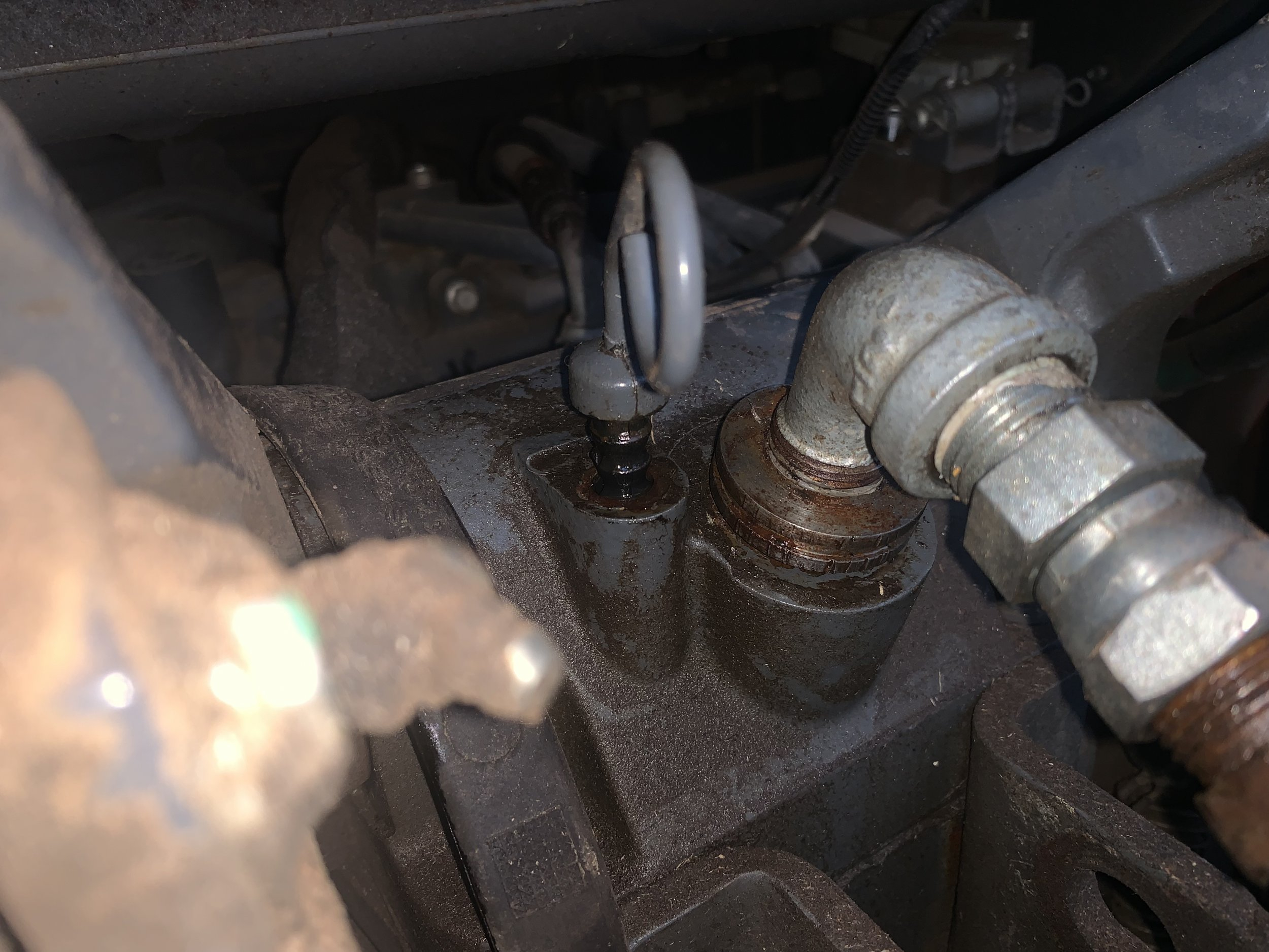 E8DAF6CF-4DD0-484C-AEC0-28DCBCF9F094.jpeg