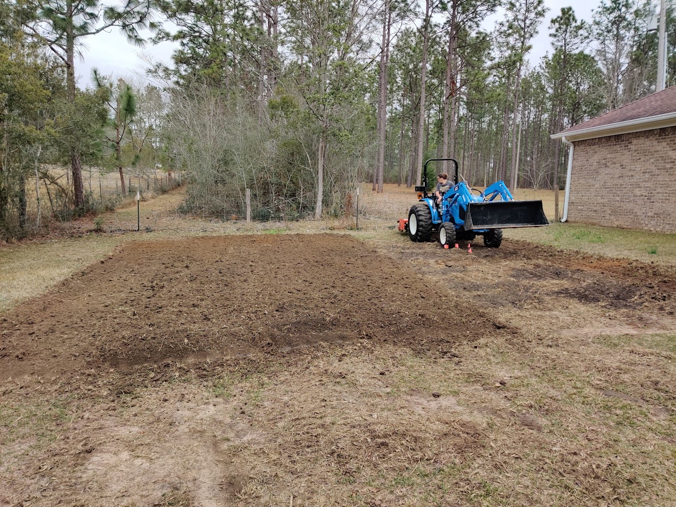 easy garden1.jpg