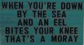 eel.JPG