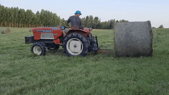 ezgif.com-animated-gif-maker.gif