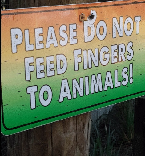 F1F23338-863F-4853-B1DF-E4FA87FD3136.jpeg