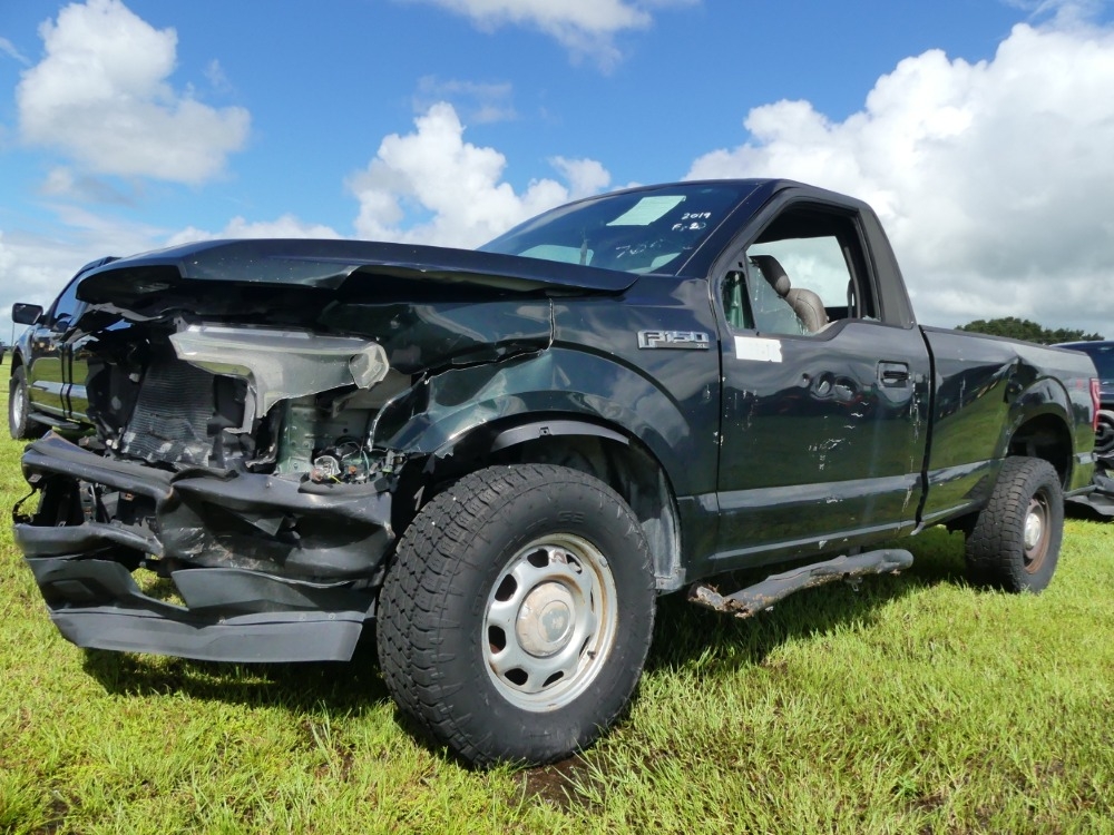 2019 Ford F-150XL (A53314)