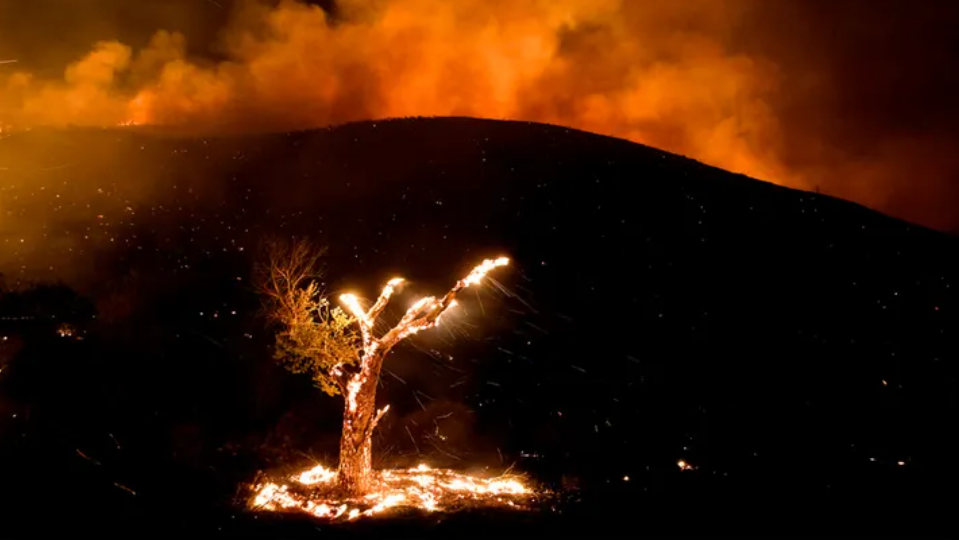 fairview fire.PNG