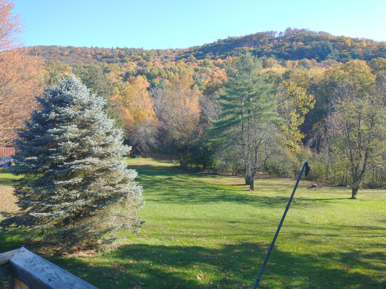 Fall of 2012 #1.jpg