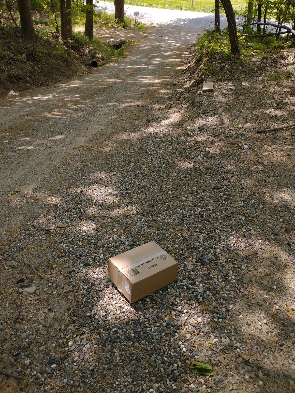 fedex delivery.jpg