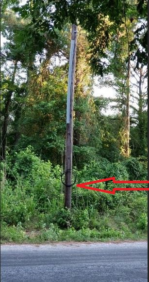 fiber.JPG