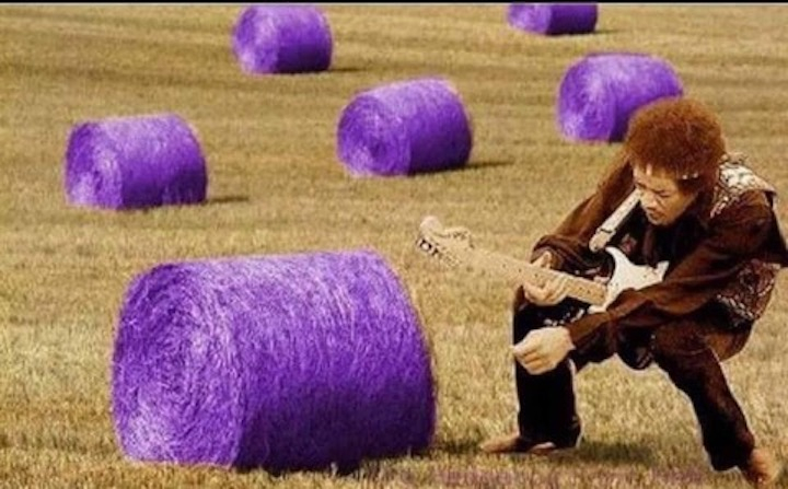 field-guitar.jpeg