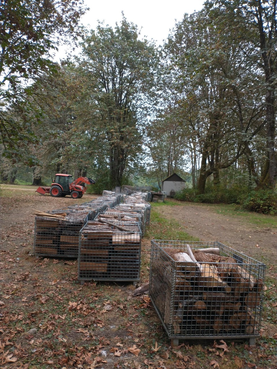 firewood.jpg