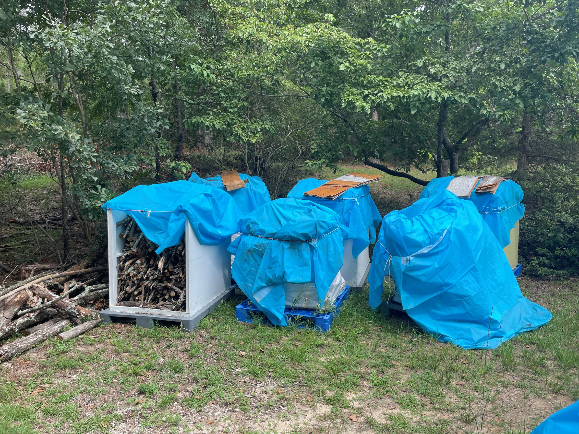 firewood reduced.JPG