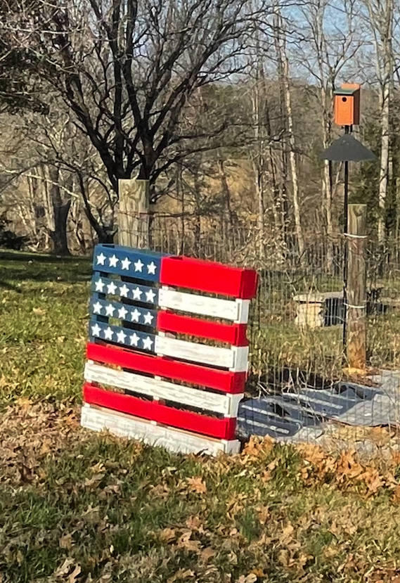 FLAG.png