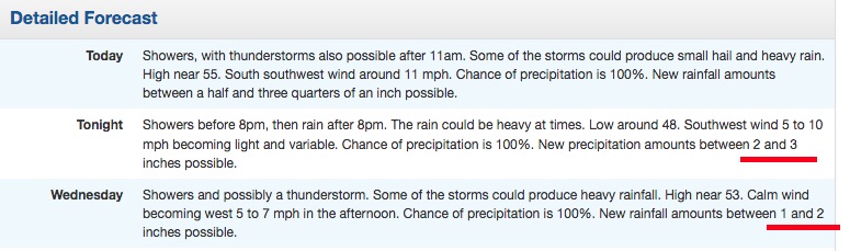 forecast.jpg