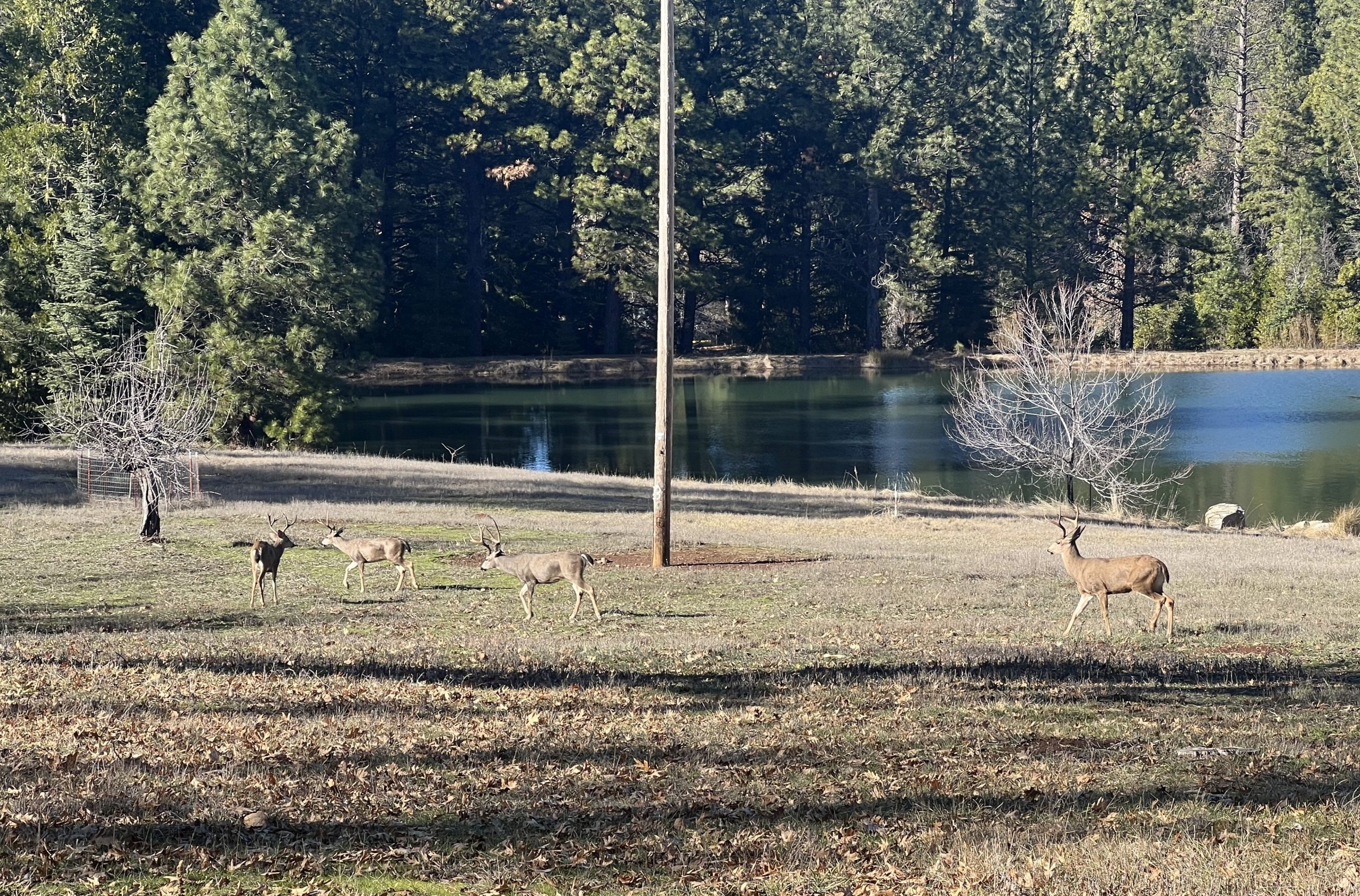 FourBucks2024Jan.jpg