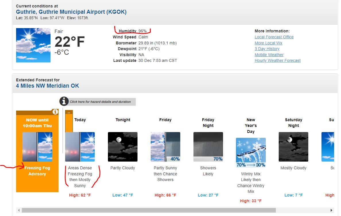 freezing fog..JPG