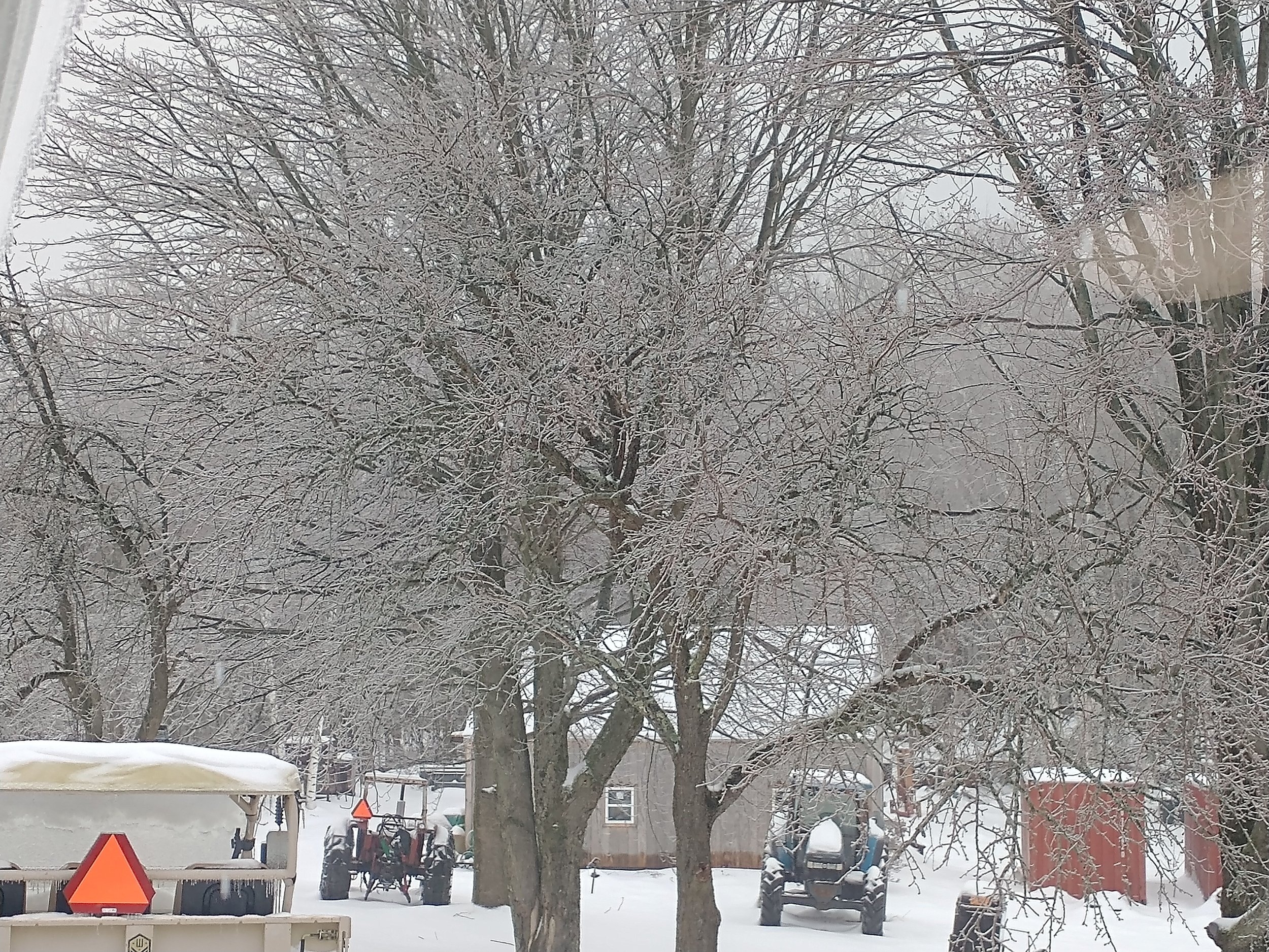freezing rain2a 3 23 24.jpg