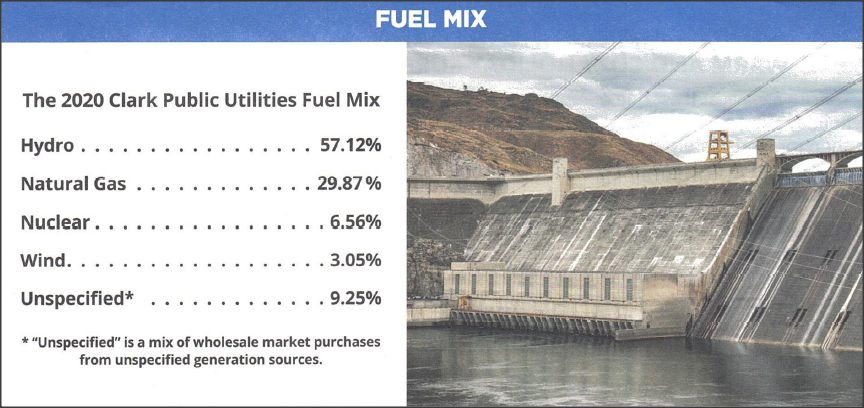 Fuel Mix.jpg