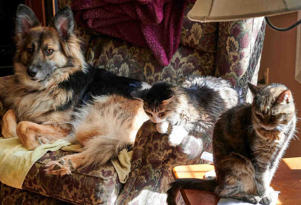 Fur crew_1AABA.JPG