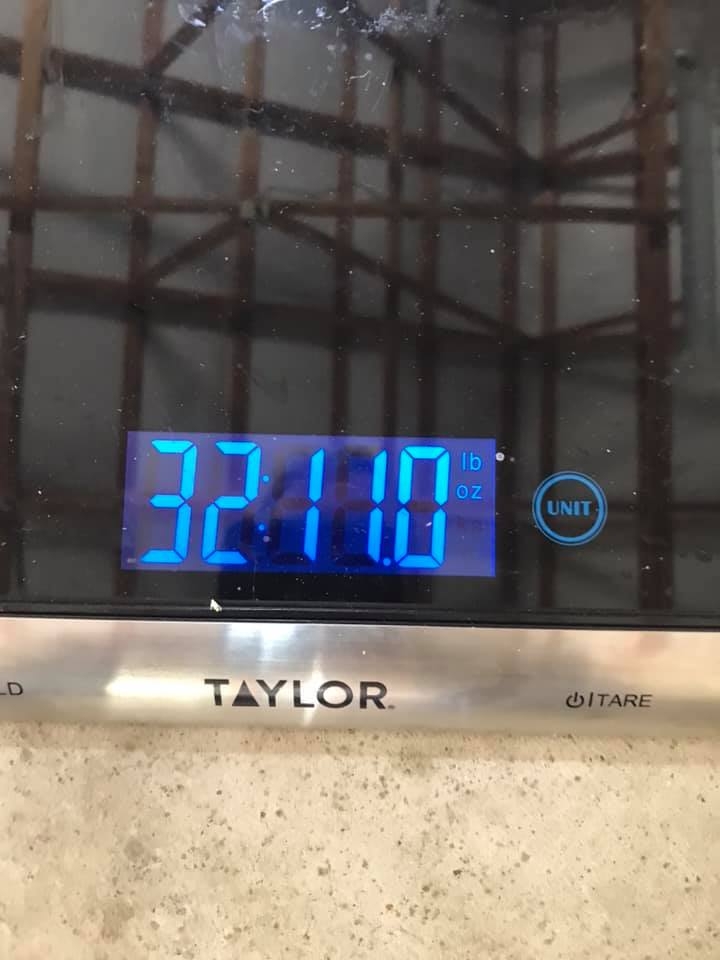 g888weight36fulll.jpg