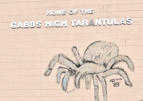 Gabbs Tarantulas.jpg