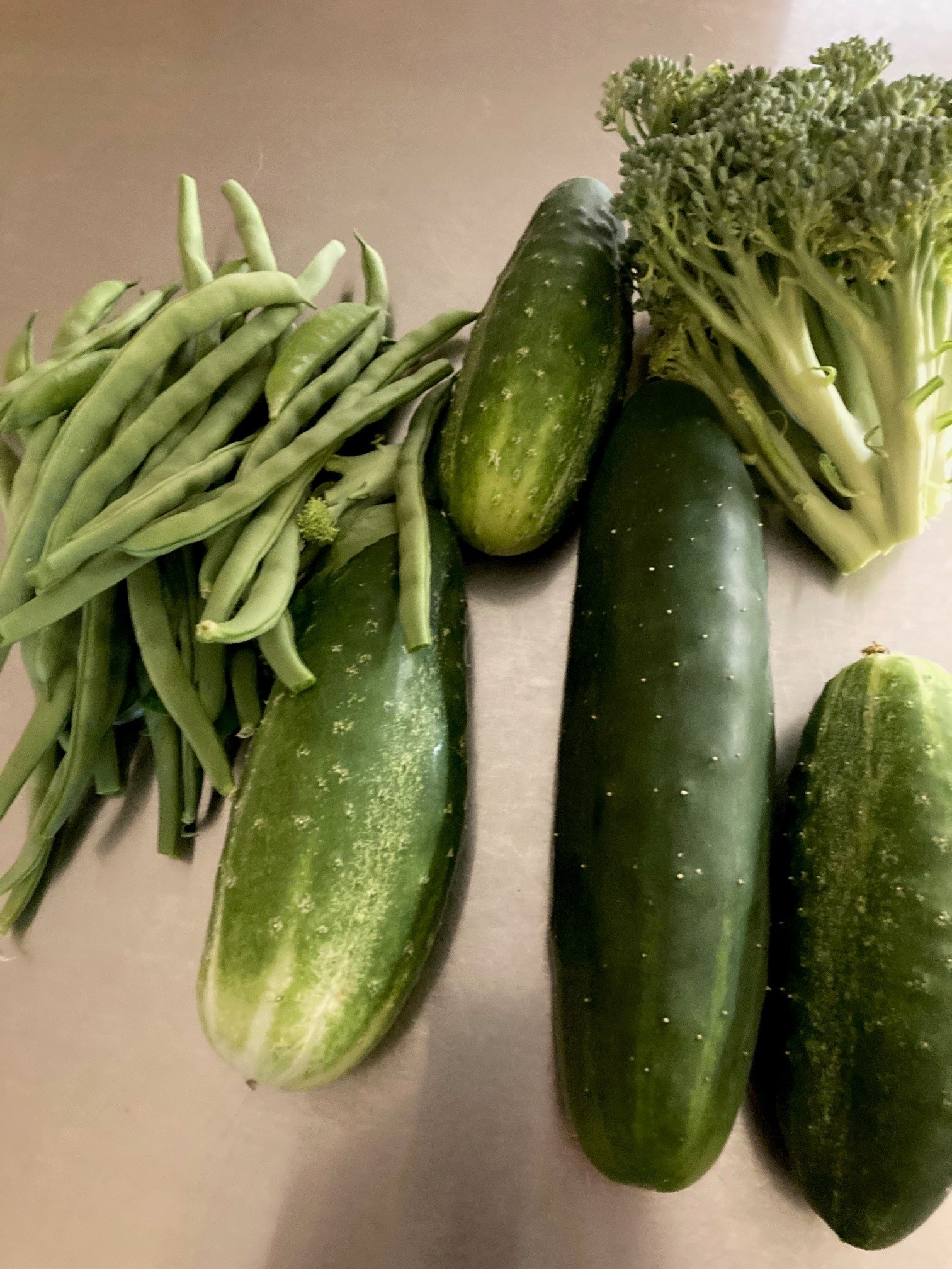 garden 2023 1.jpg