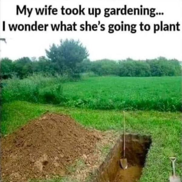 garden.jpg