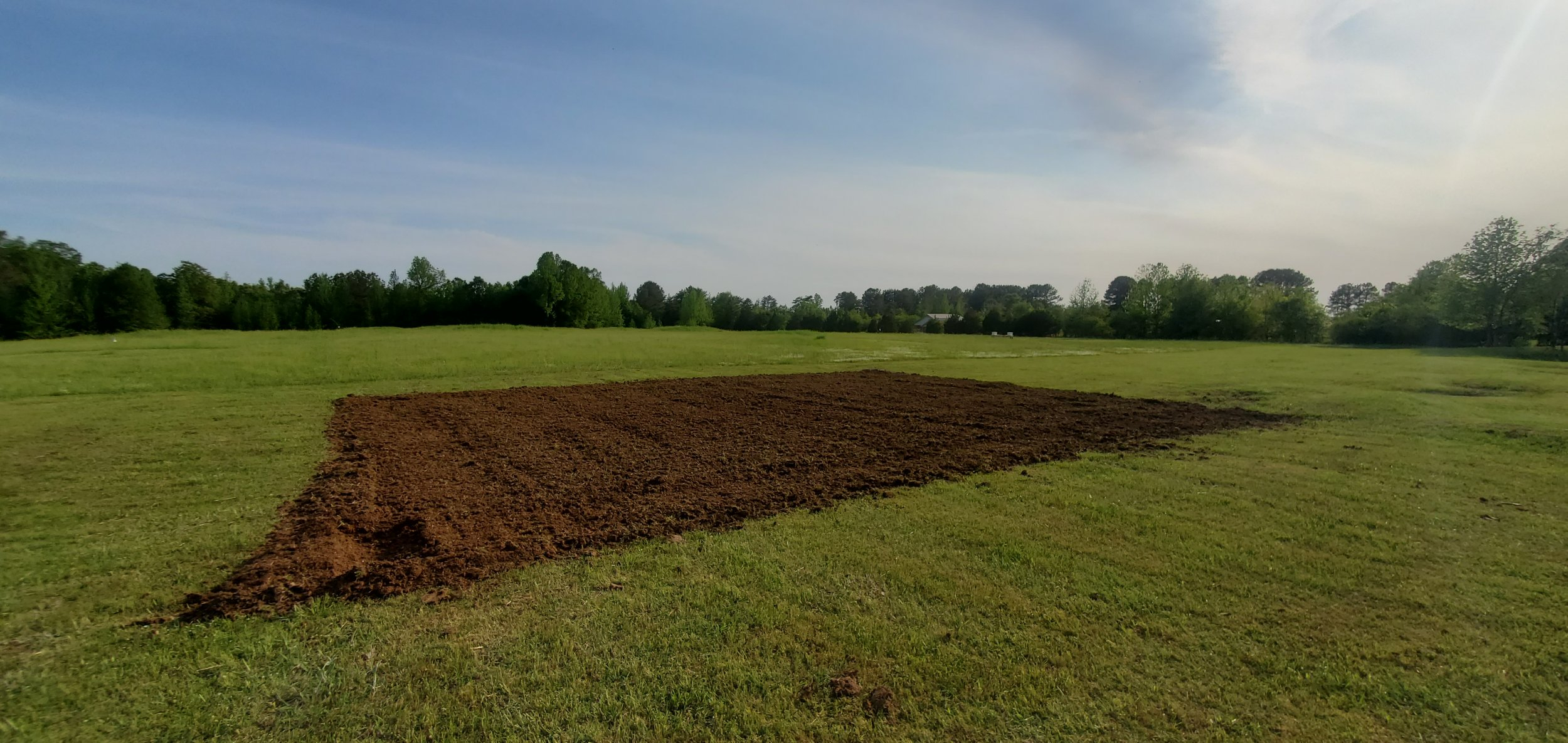 garden.jpg