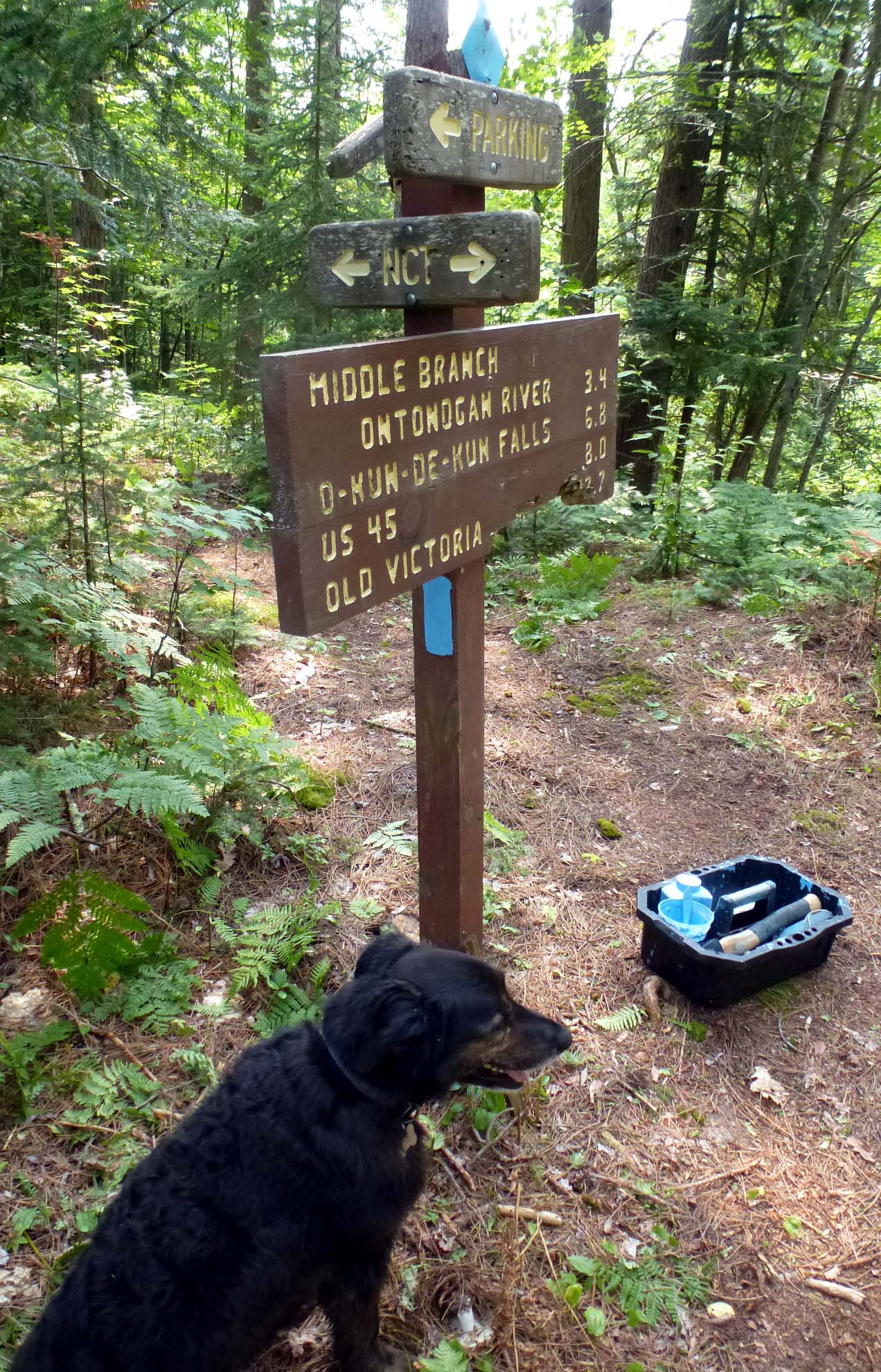 Gardner RD NCT sign.jpg